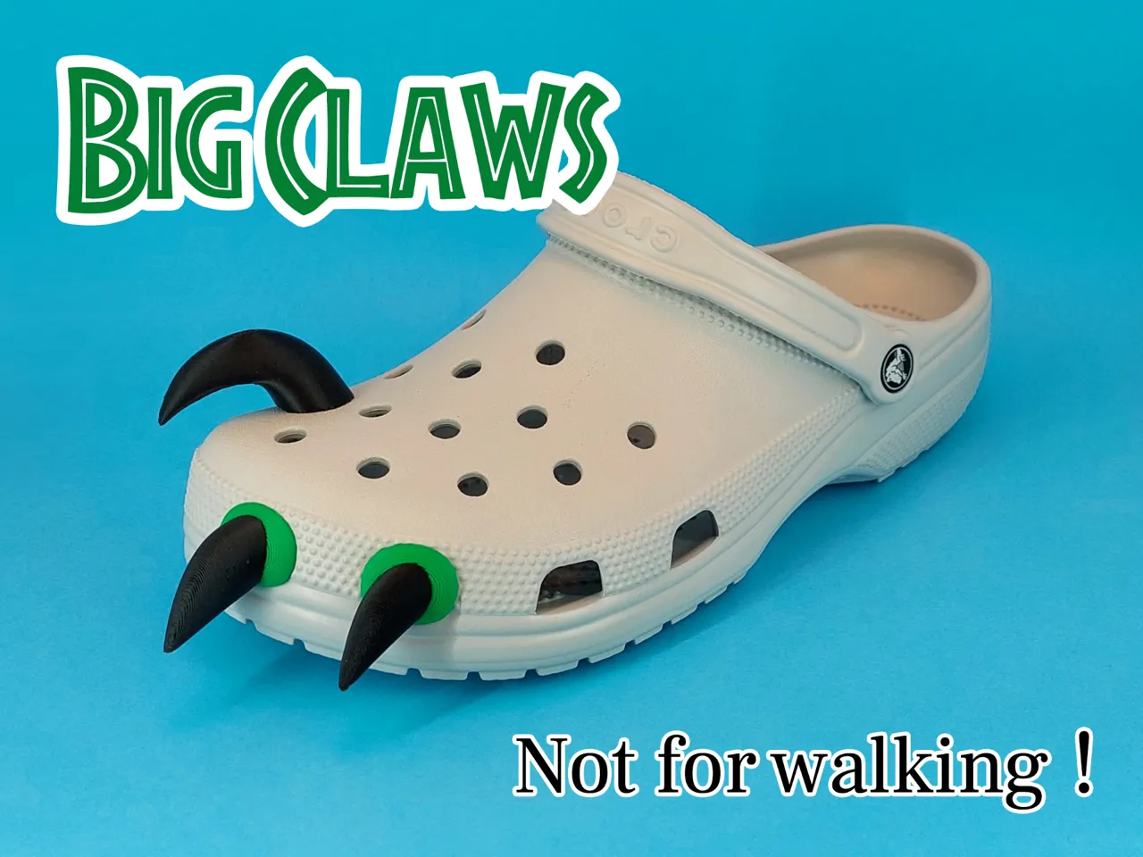 Raptor Crocs view 2