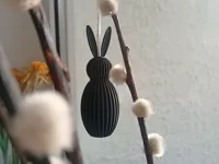 0.2mm nozzle, 0.06mm layer, 4 walls, 15% infill