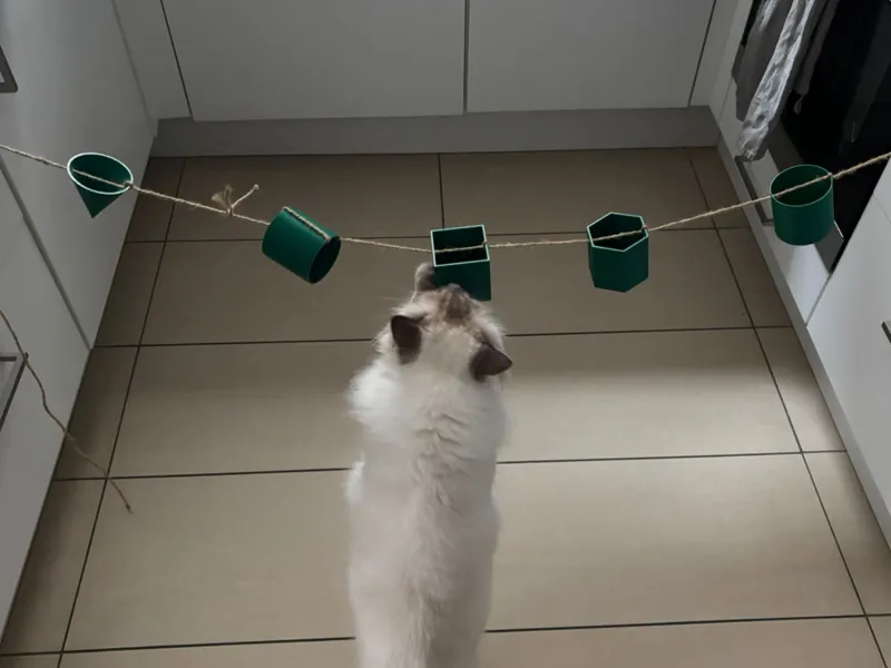 Snack String