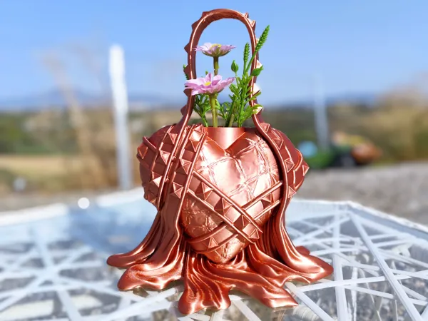 https://makerworld.bblmw.com/makerworld/model/USfb611591558be9/design/2025-08-06_734a1c8cefef78.jpg