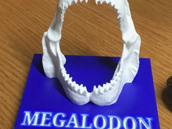 https://makerworld.bblmw.com/makerworld/model/USfb646394afafa9/design/2025-06-28_9c02e965f277e8.png