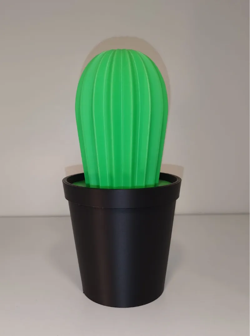 Kaktus Mini Mülleimer