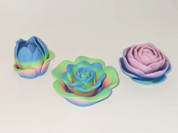 https://makerworld.bblmw.com/makerworld/model/USfb7a39e8dc0980/design/2024-08-07_bd62aa2d0849.jpg