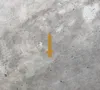 Sword only