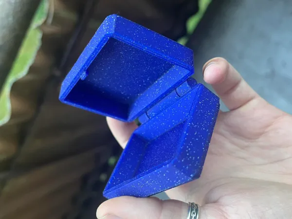 https://makerworld.bblmw.com/makerworld/model/USfb8221900d8ade/design/2024-07-05_093914f394409.jpg