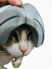 猫猫版本 内宽约9cm