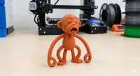 0.16mm layer, 2 walls, 20% infill