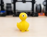 0.16mm layer, 2 walls, 20% infill