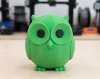 0.16mm layer, 2 walls, 20% infill