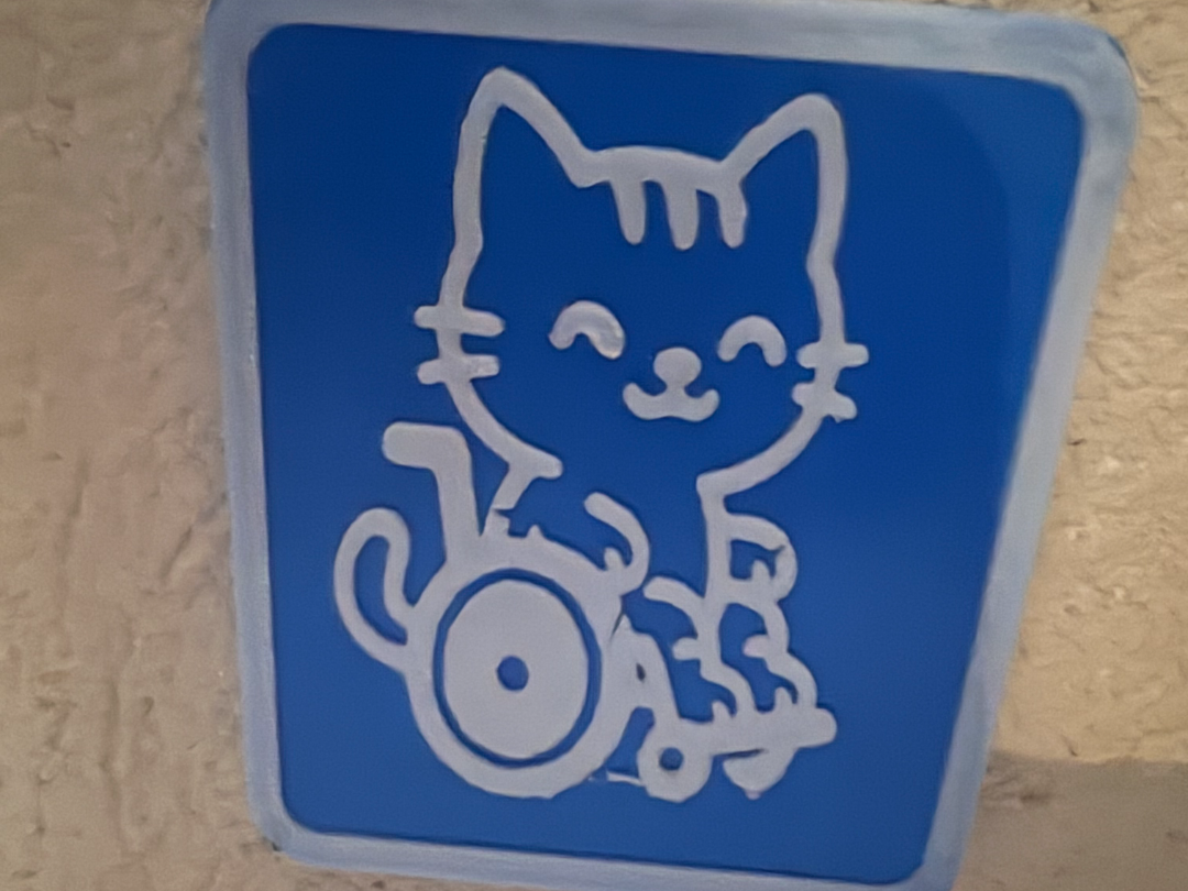 Cute Disabled Kitty