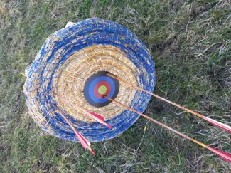 Precision Bowhunting Target 