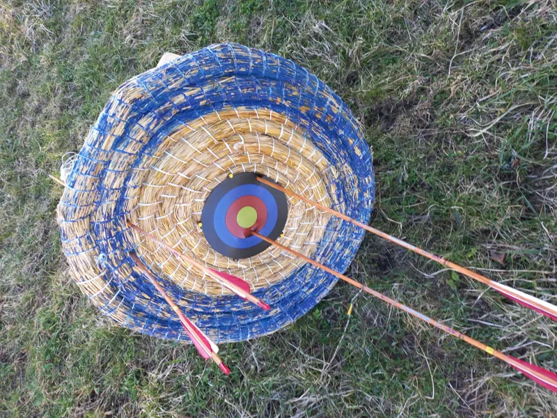 Precision Bowhunting Target 