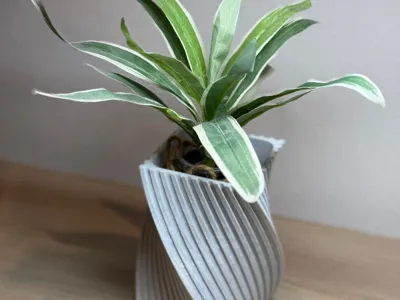 Spiral Vase