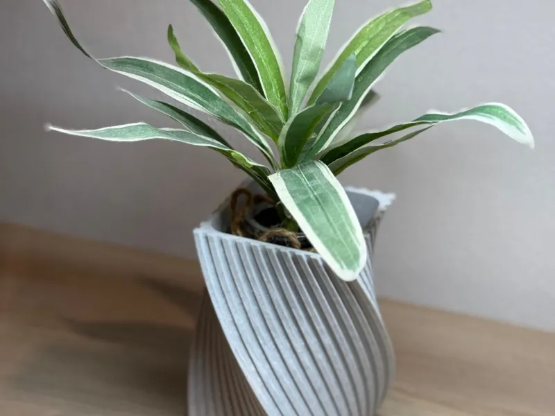 Spiral Vase