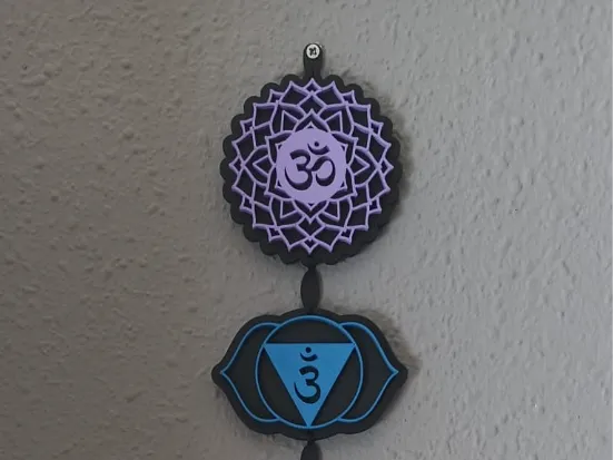 https://makerworld.bblmw.com/makerworld/model/USfb91b7374d6689/design/76079161db3fed3f.jpeg
