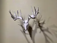 Whitetail Skull - 1/4 Scale Mini - Whole