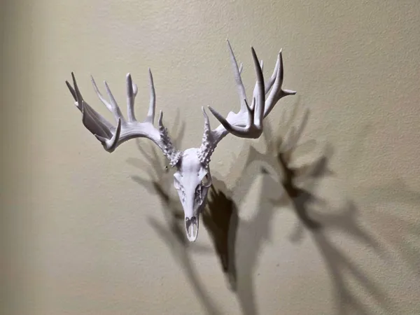 https://makerworld.bblmw.com/makerworld/model/USfb92f55e95193b/design/2099ed5daf25ebf4.jpg