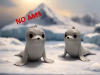NO AMS