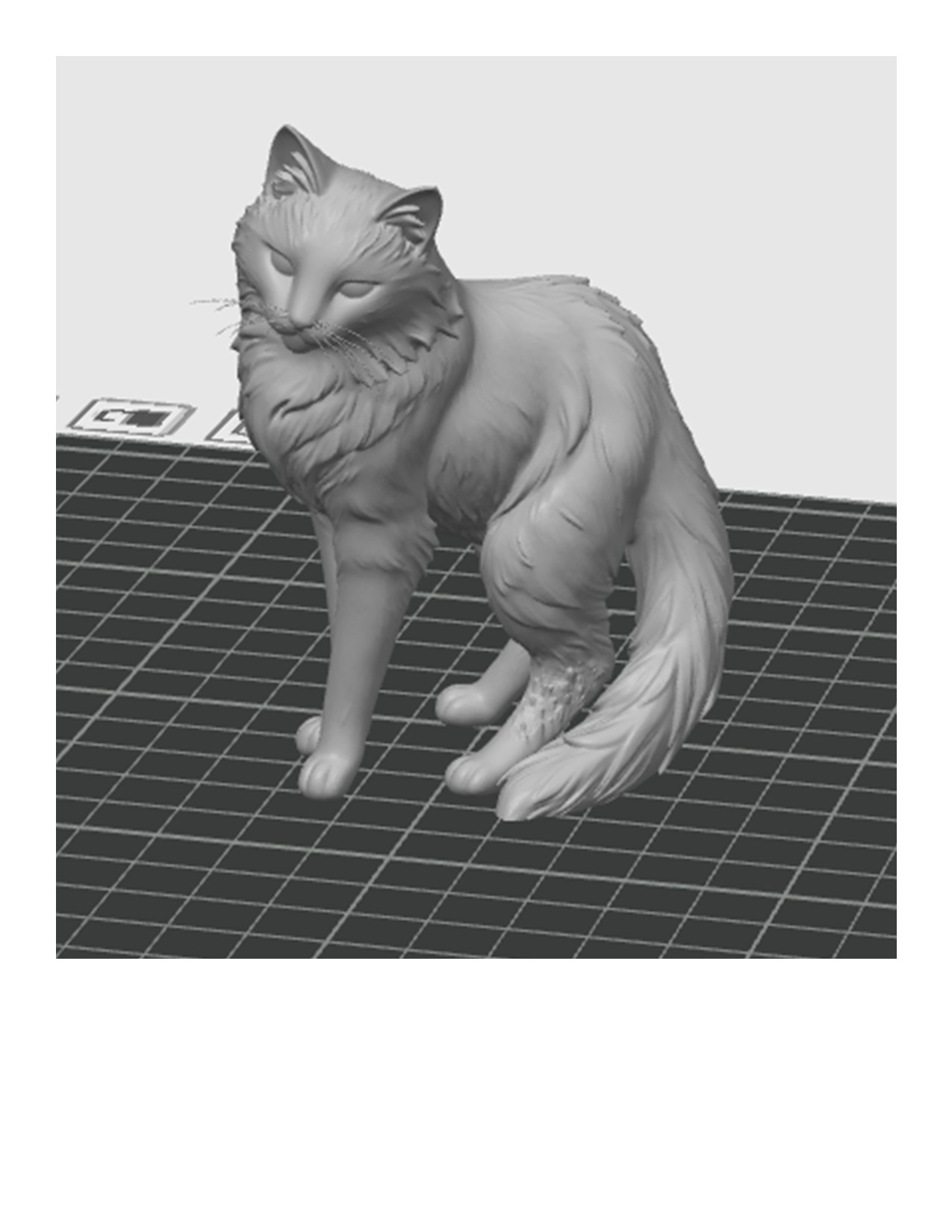 Miniatura 2 do modelo 3D Cinderpelt Warriors Model