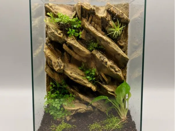 https://makerworld.bblmw.com/makerworld/model/USfb9fb13e8de2a7/design/b82efa829cf190d9.jpg