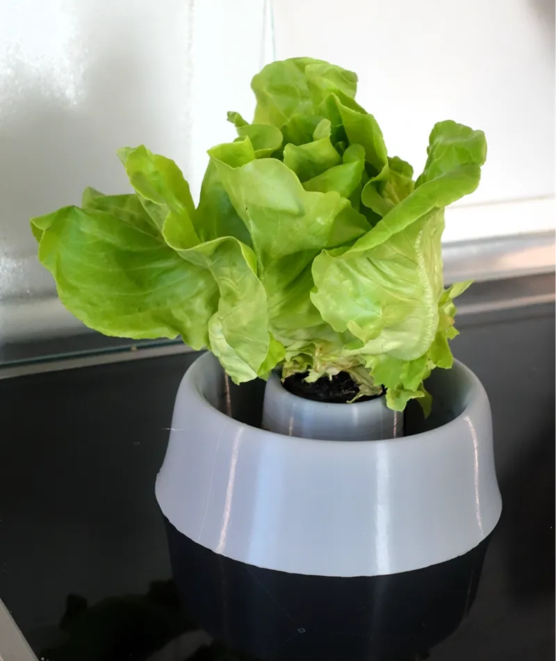 Salad Vase Holder