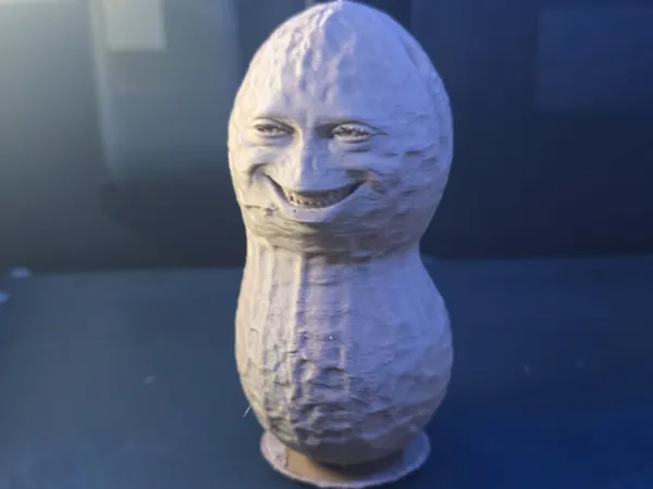 https://makerworld.bblmw.com/makerworld/model/USfba098653e0609/design/d11e258a582b9ede.jpeg