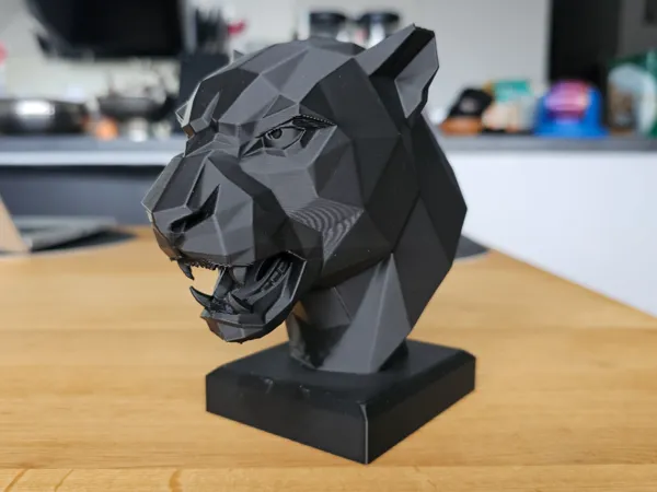 https://makerworld.bblmw.com/makerworld/model/USfba819dda63c49/design/64bf0d8400dfda98.jpg