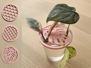 Plant Propagation Cutting Lid Holder Topper