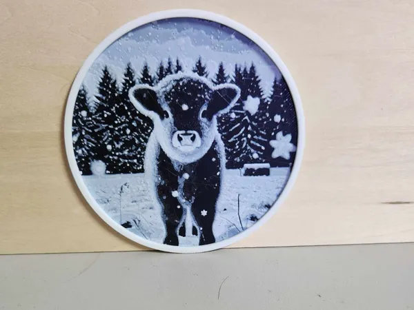 https://makerworld.bblmw.com/makerworld/model/USfbaa1bd6ec3f25/design/2025-01-09_18afadf103471.jpg