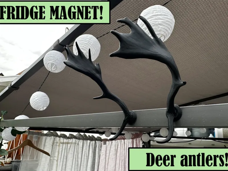 Moose fridge magnet