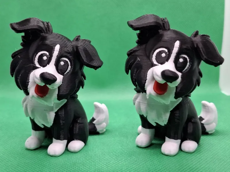 bordercollie