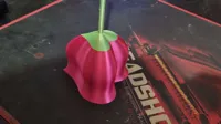 Vase rose en mode vase, ultra léger (tige corrigée) — photo 8