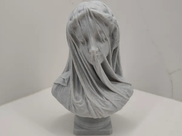 https://makerworld.bblmw.com/makerworld/model/USfbb7791eb354ba/design/078273cafee1cc0a.jpg