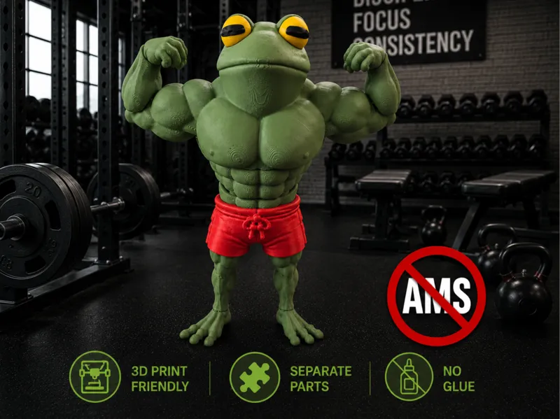 Flex, The Flexi, Flexing Frog, No AMS, No Glue!