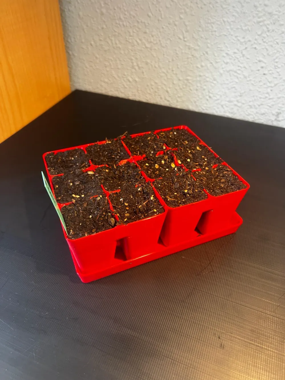 Seed/Module/Cell Tray (Seed/Plug Tray) Remixed by BODY MECHANIC