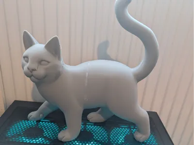 standing cat