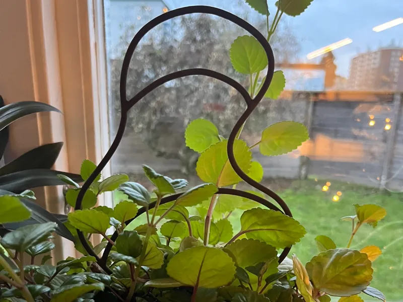 Plant Support