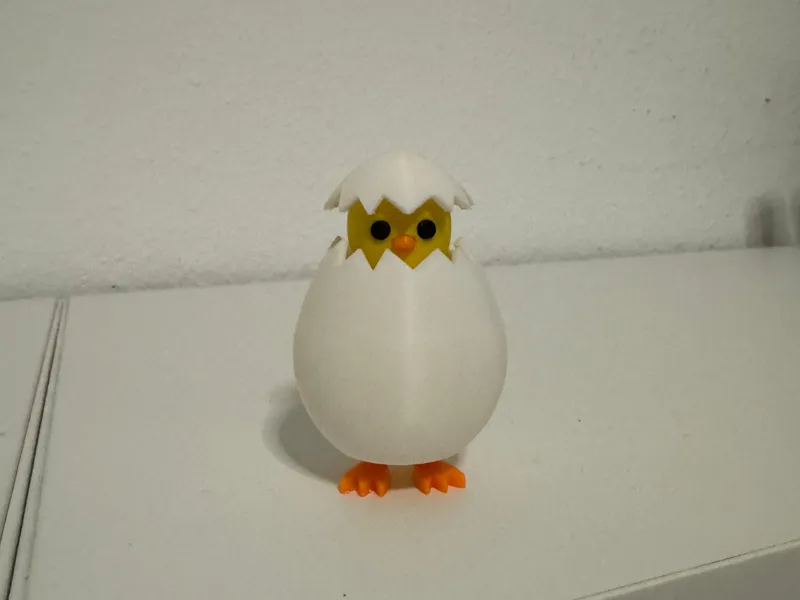 Küken Schlüpft aus dem Ei