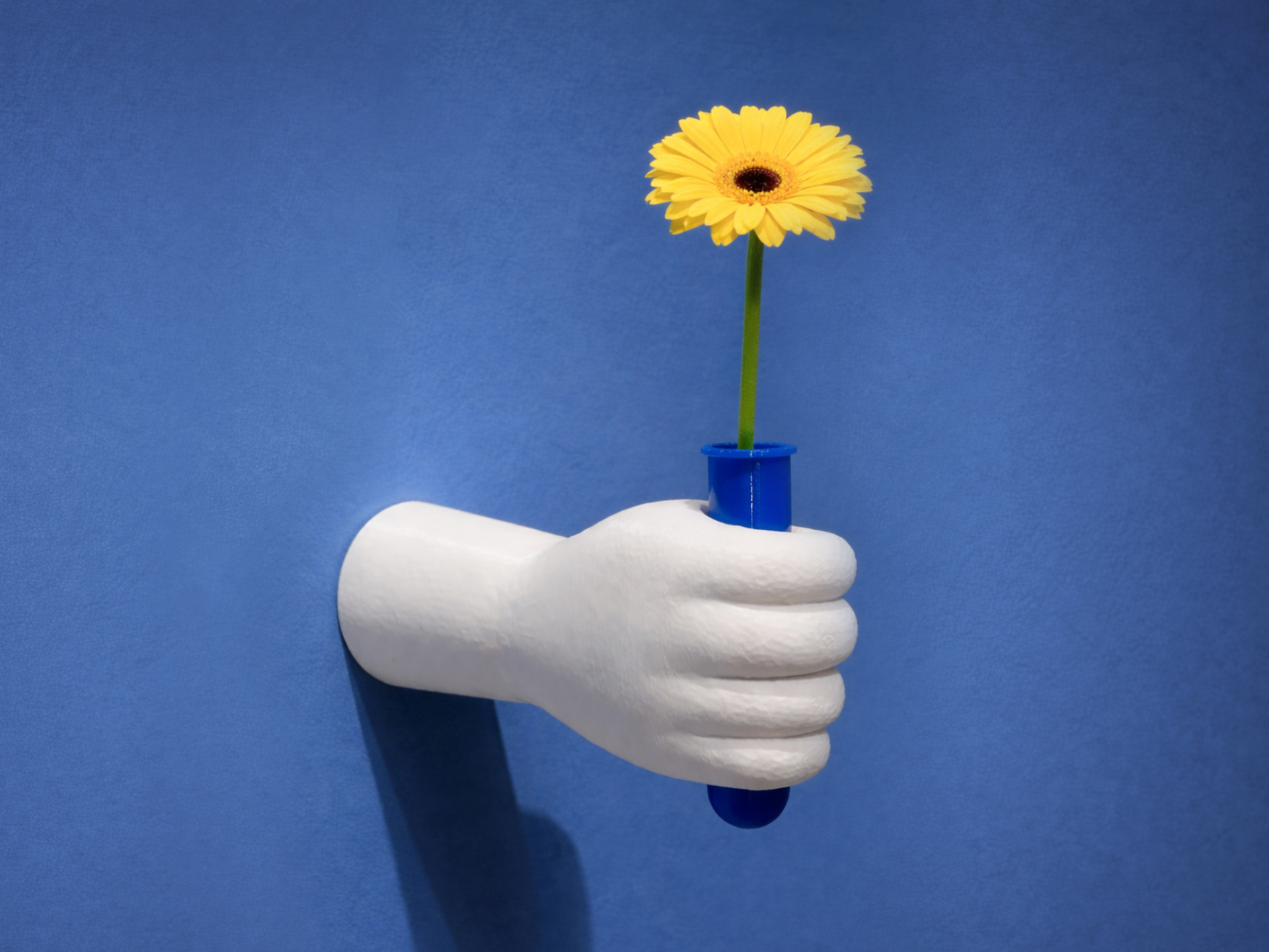 A Hand That Holds a Flower