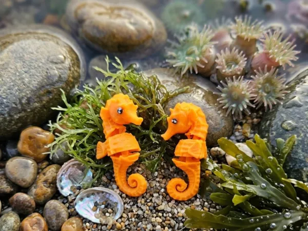 https://makerworld.bblmw.com/makerworld/model/USfbd85e3694ce86/design/80d312b041de099e.jpg
