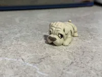 Multi Color - 3 Colors (Brown Nose) 