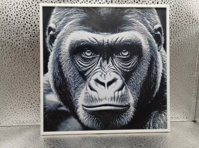 Gorilla – Hueforge