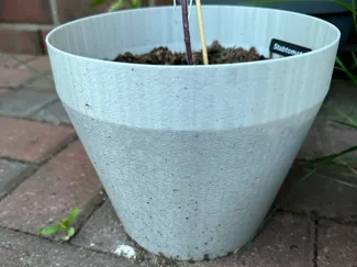 Simple Plant Pot