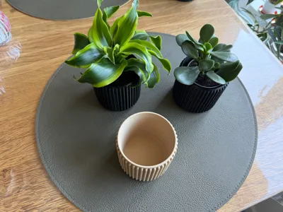 Planter Jescom 01