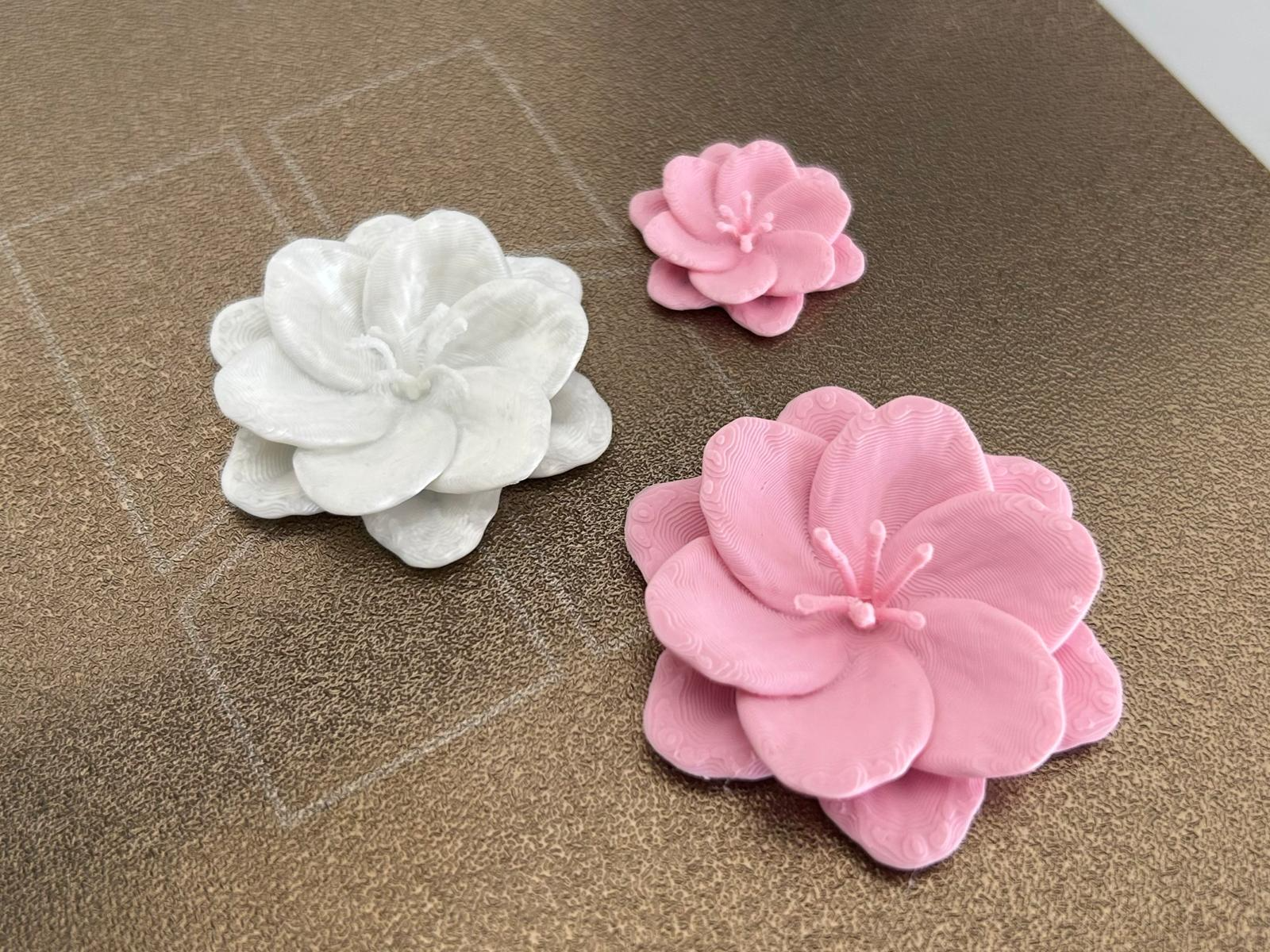 Cherry Blossom Flower