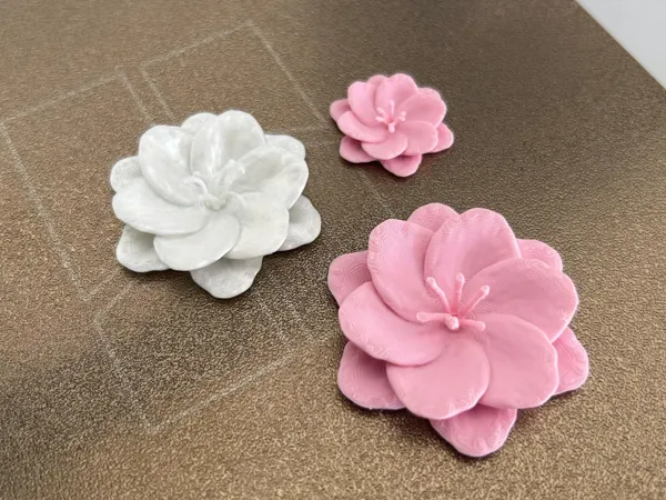 https://makerworld.bblmw.com/makerworld/model/USfbe556d61f397b/design/1986482286948597.jpeg