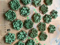 0.16mm layer, 2 walls, 15% infill