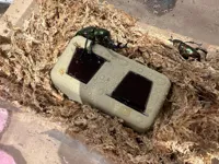 5cm high 0.2mm layer, 2 walls, 10% infill