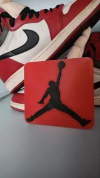 Plaque logo Air Jordan — photo 2