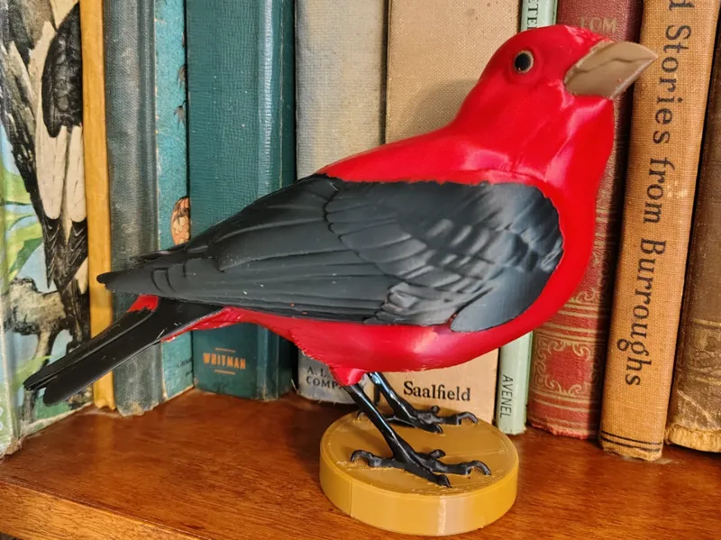 Scarlet Tanager